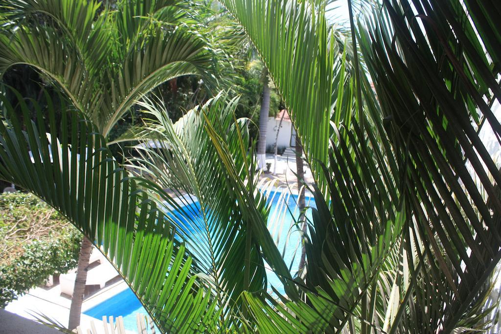 Hotel Olinalá Diamante Acapulco Camera foto